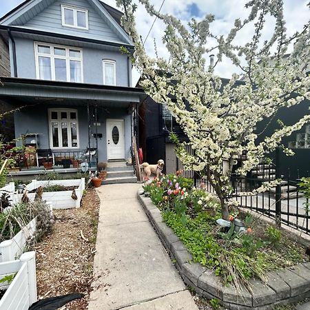 Villa Garden Oasis Toronto Exterior foto