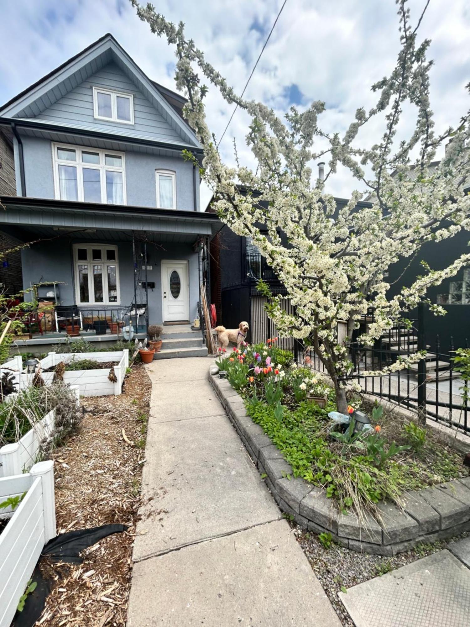 Villa Garden Oasis Toronto Exterior foto